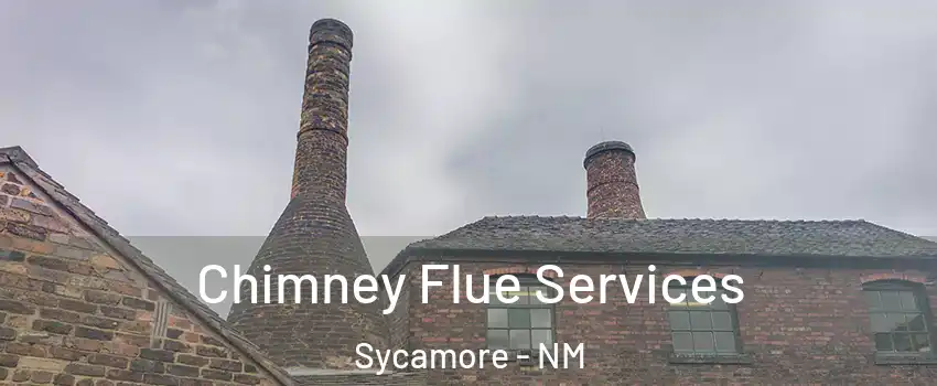 Chimney Flue Services Sycamore - NM