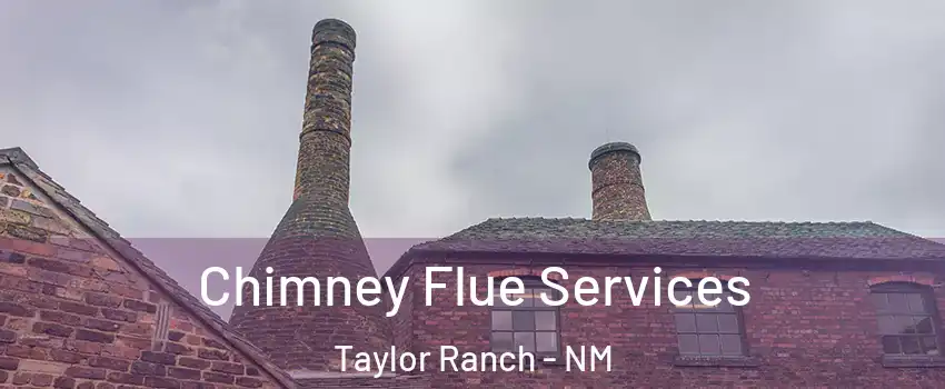 Chimney Flue Services Taylor Ranch - NM