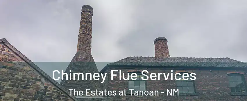 Chimney Flue Services The Estates at Tanoan - NM
