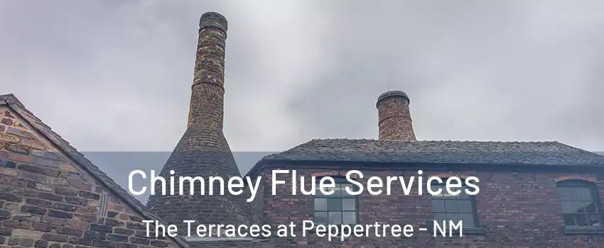 Chimney Flue Services The Terraces at Peppertree - NM