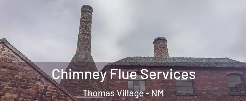 Chimney Flue Services Thomas Village - NM