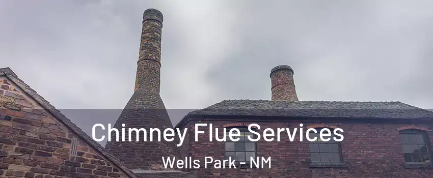 Chimney Flue Services Wells Park - NM