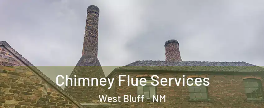 Chimney Flue Services West Bluff - NM