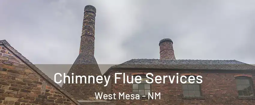 Chimney Flue Services West Mesa - NM
