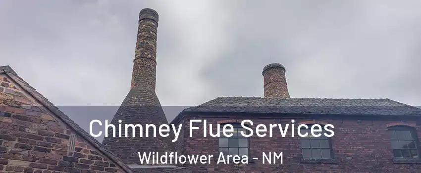 Chimney Flue Services Wildflower Area - NM
