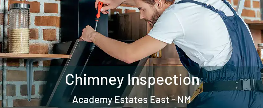 Chimney Inspection Academy Estates East - NM