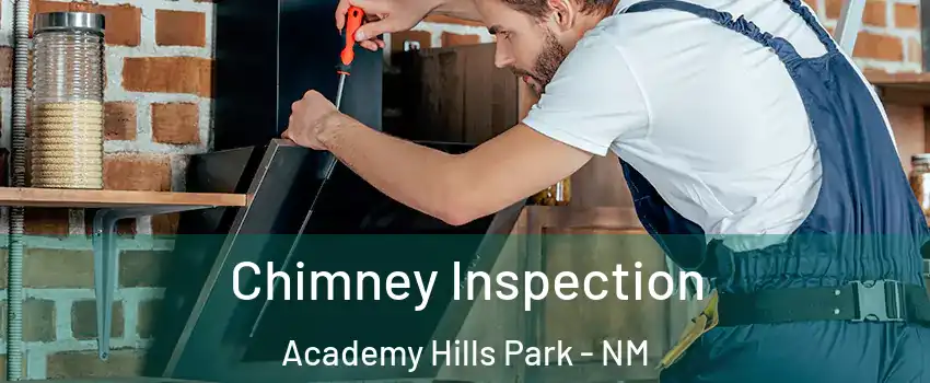 Chimney Inspection Academy Hills Park - NM