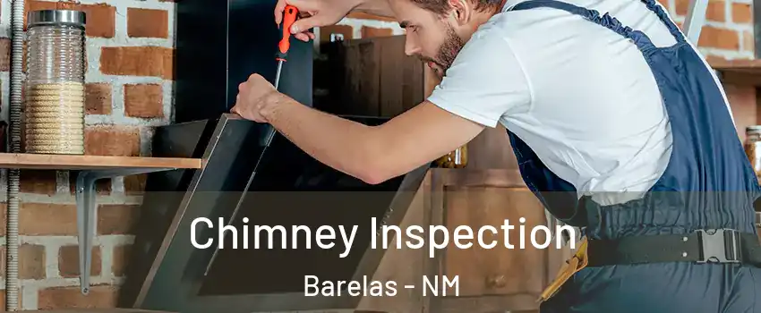 Chimney Inspection Barelas - NM