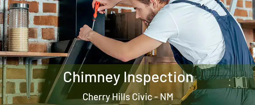 Chimney Inspection Cherry Hills Civic - NM