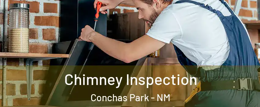 Chimney Inspection Conchas Park - NM