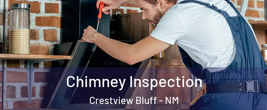 Chimney Inspection Crestview Bluff - NM