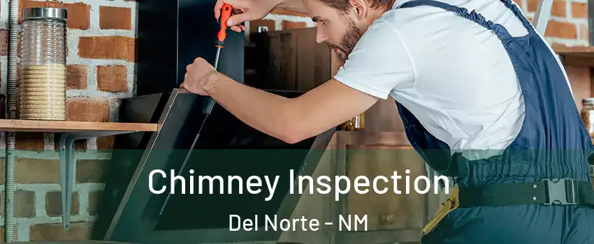 Chimney Inspection Del Norte - NM