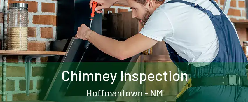 Chimney Inspection Hoffmantown - NM
