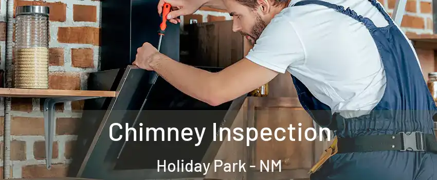 Chimney Inspection Holiday Park - NM