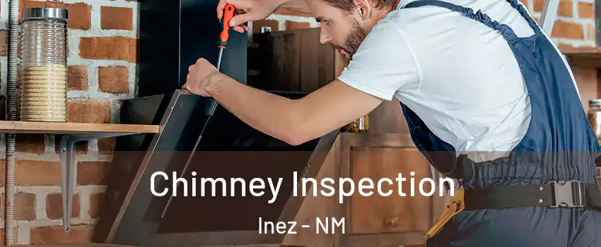 Chimney Inspection Inez - NM