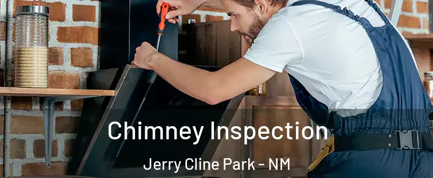 Chimney Inspection Jerry Cline Park - NM