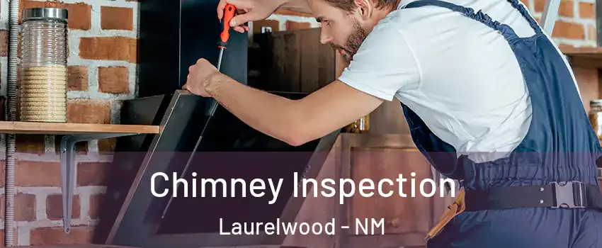 Chimney Inspection Laurelwood - NM