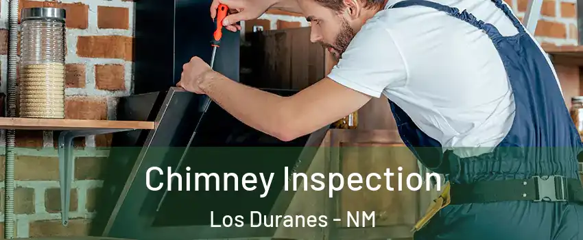 Chimney Inspection Los Duranes - NM