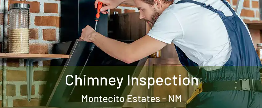 Chimney Inspection Montecito Estates - NM