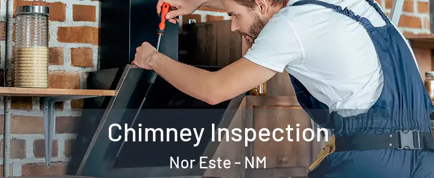 Chimney Inspection Nor Este - NM