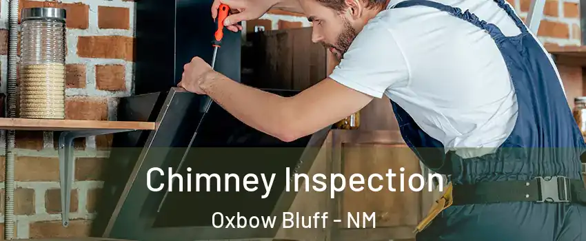 Chimney Inspection Oxbow Bluff - NM