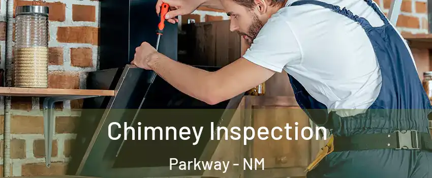 Chimney Inspection Parkway - NM