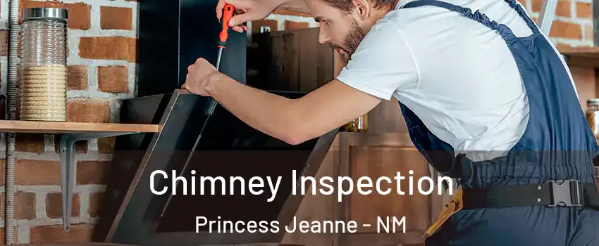 Chimney Inspection Princess Jeanne - NM