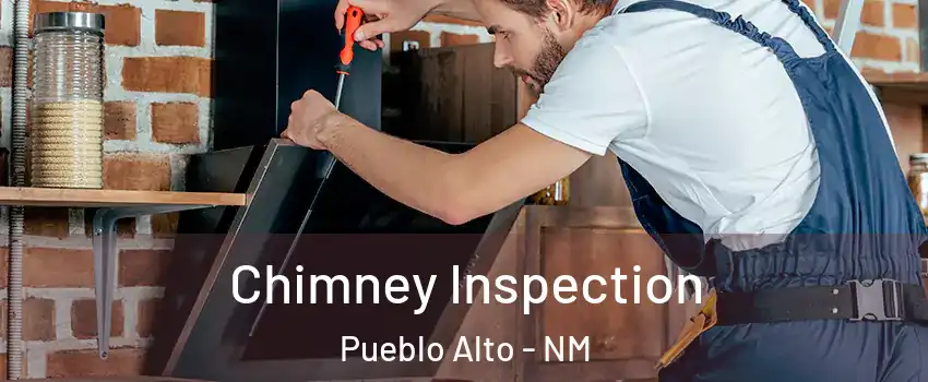 Chimney Inspection Pueblo Alto - NM