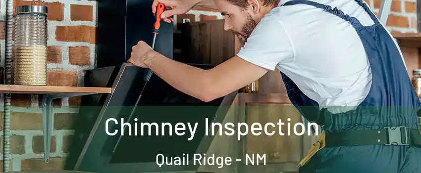 Chimney Inspection Quail Ridge - NM