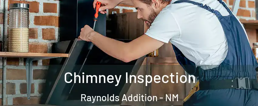 Chimney Inspection Raynolds Addition - NM