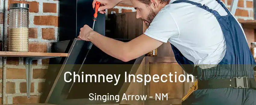 Chimney Inspection Singing Arrow - NM