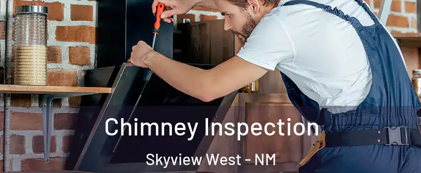Chimney Inspection Skyview West - NM