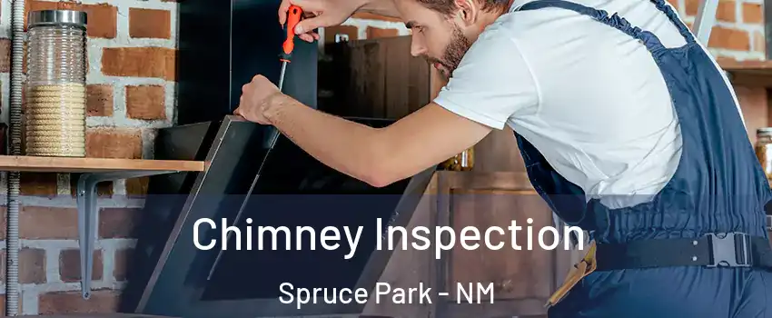 Chimney Inspection Spruce Park - NM