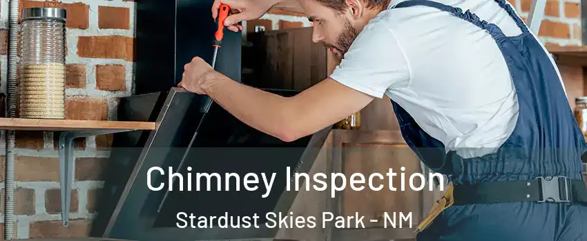 Chimney Inspection Stardust Skies Park - NM