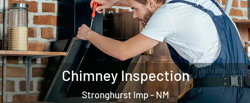 Chimney Inspection Stronghurst Imp - NM