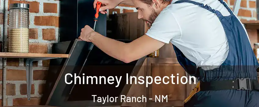 Chimney Inspection Taylor Ranch - NM
