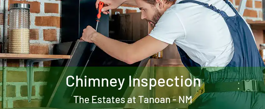 Chimney Inspection The Estates at Tanoan - NM
