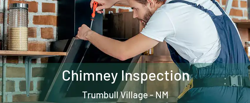 Chimney Inspection Trumbull Village - NM