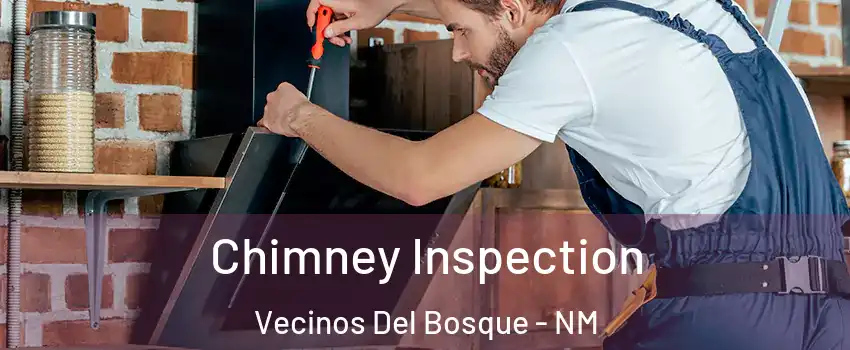 Chimney Inspection Vecinos Del Bosque - NM