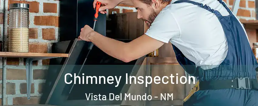 Chimney Inspection Vista Del Mundo - NM