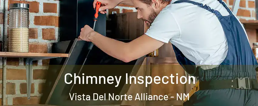 Chimney Inspection Vista Del Norte Alliance - NM