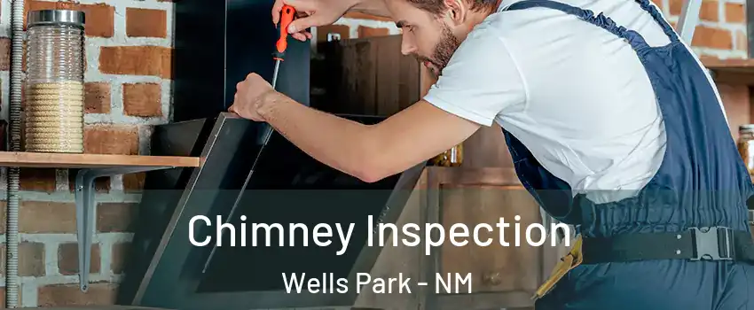 Chimney Inspection Wells Park - NM