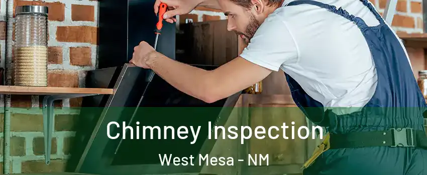 Chimney Inspection West Mesa - NM