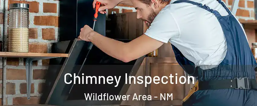 Chimney Inspection Wildflower Area - NM