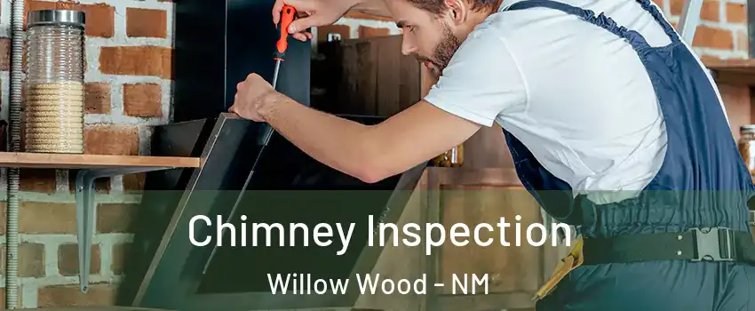 Chimney Inspection Willow Wood - NM