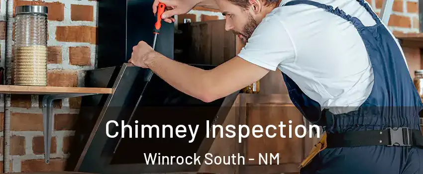 Chimney Inspection Winrock South - NM