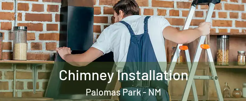 Chimney Installation Palomas Park - NM
