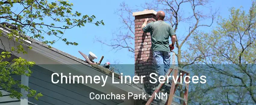 Chimney Liner Services Conchas Park - NM