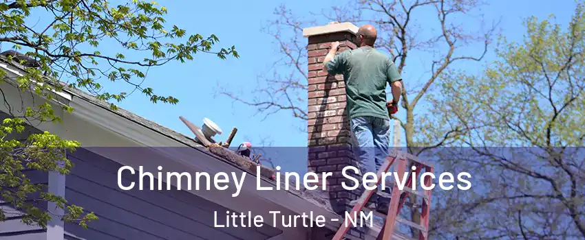 Chimney Liner Services Little Turtle - NM