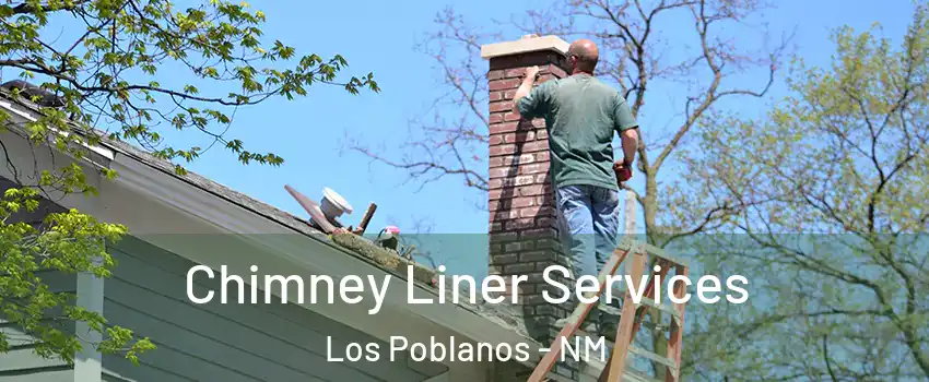 Chimney Liner Services Los Poblanos - NM